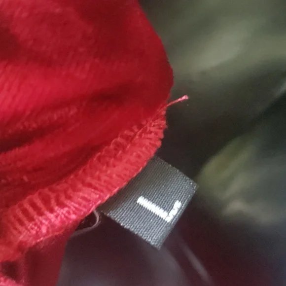 Viereck Wine Crushed Velvet Dress. Size Large. - Picture 6 of 8